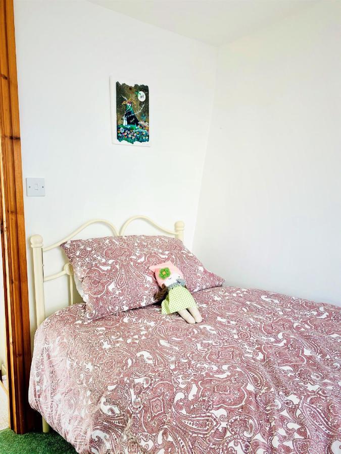 Higher Primrose Cottage Winkleigh Luaran gambar