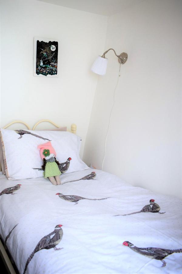 Higher Primrose Cottage Winkleigh Luaran gambar