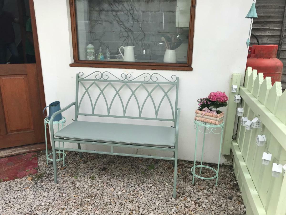 Higher Primrose Cottage Winkleigh Luaran gambar